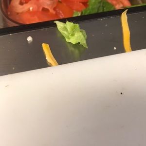 Meet your Posher, Carmen